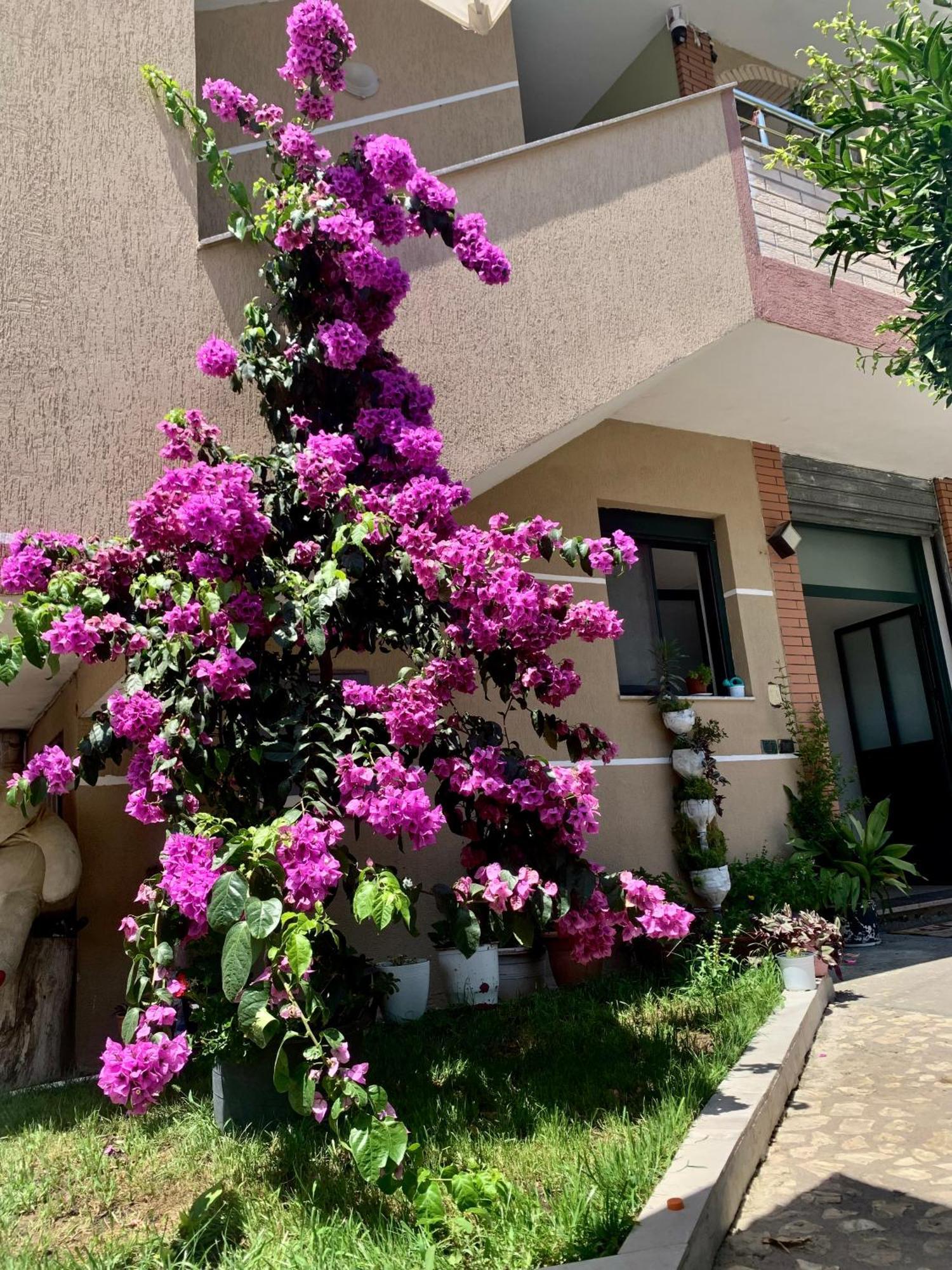 Serenade Beach Durres Bagian luar foto